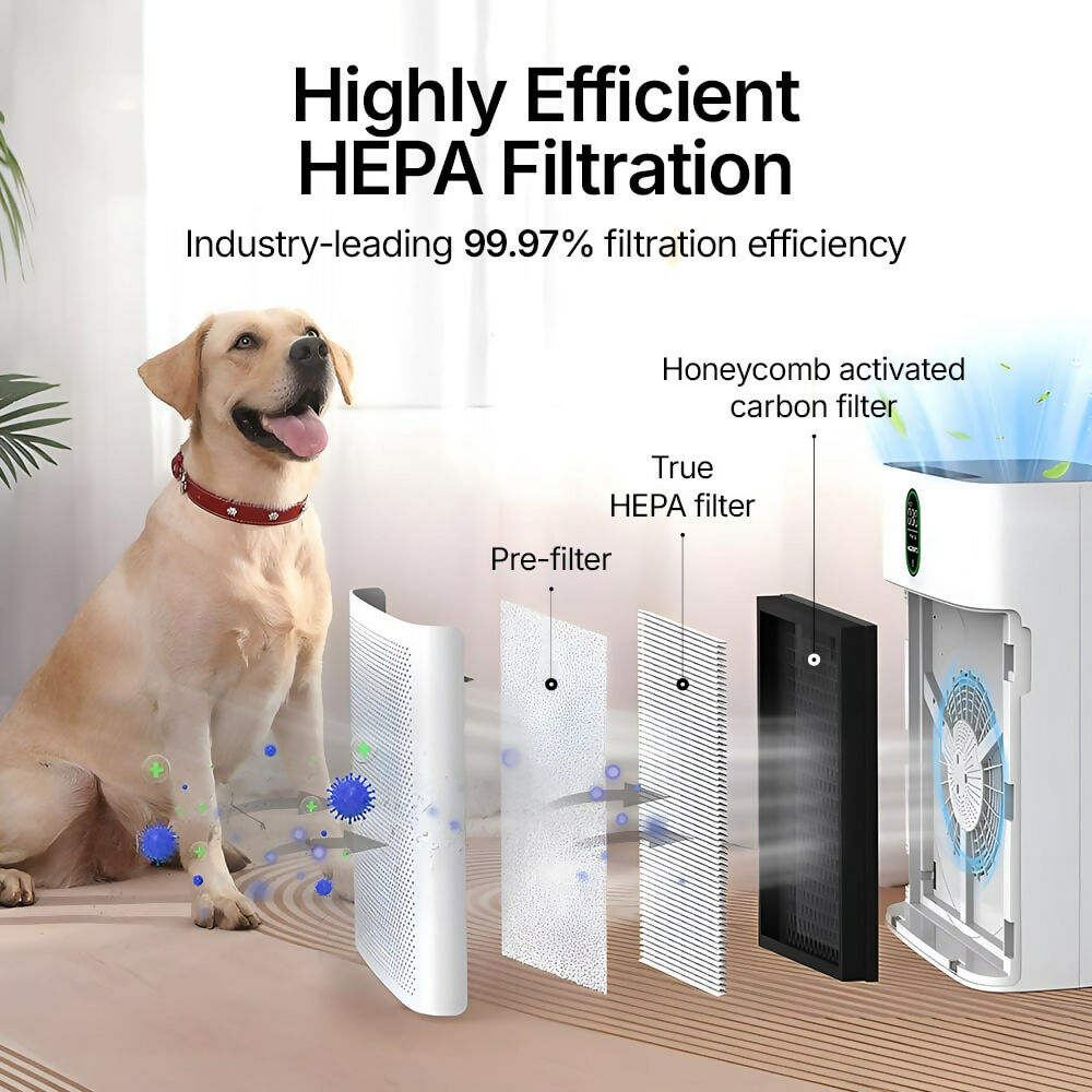 Smart Air Purifier V1 Pro – Powerful HEPA Filtration with PM2.5 Sensor, App & Voice Control for Clean Indoor Air